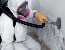 Best Mold Damage Restoration  in Wilder, ID